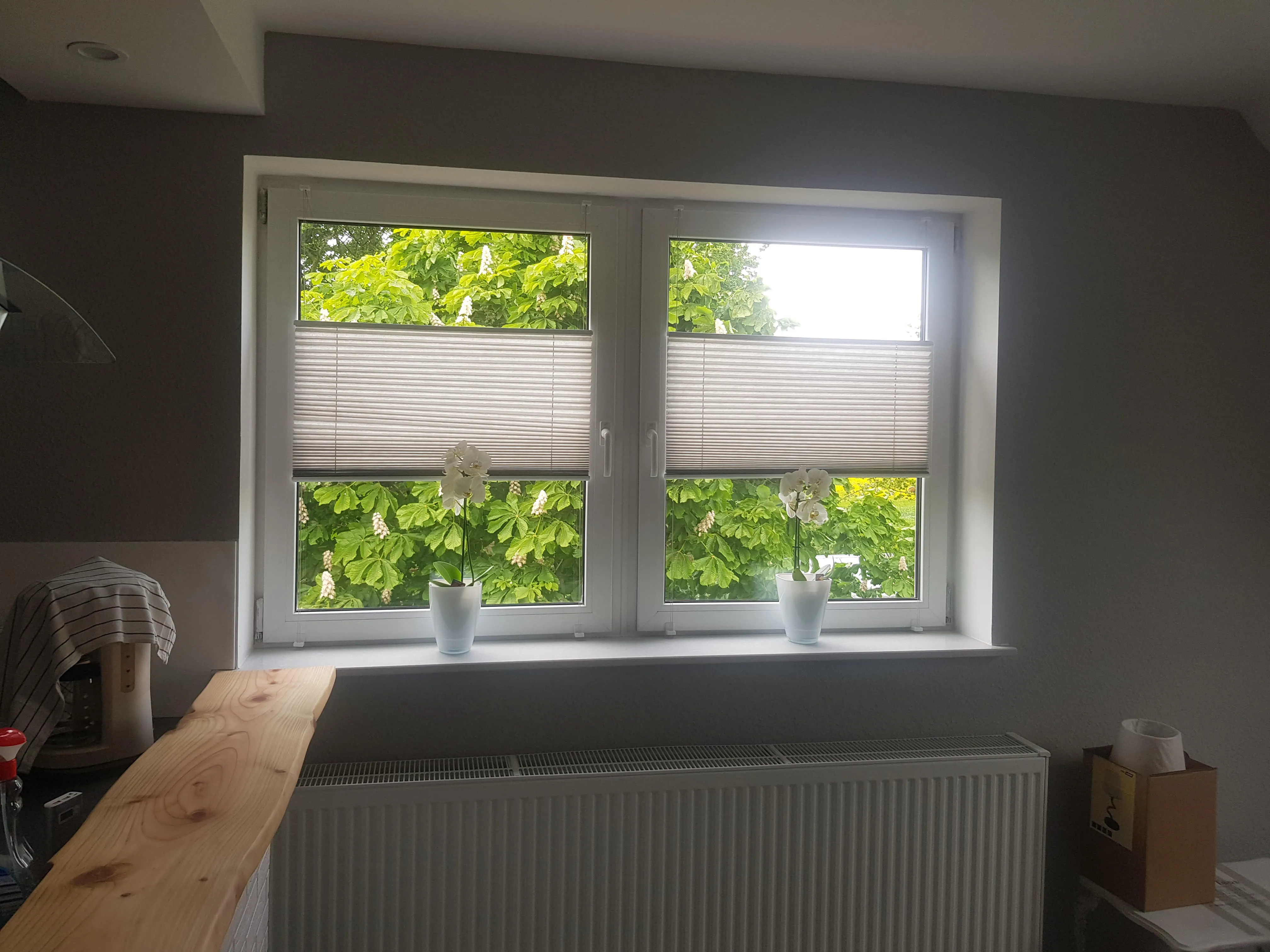 Umbau der Ferienwohnung Canhusen in Eigenleistung im Mai 2023