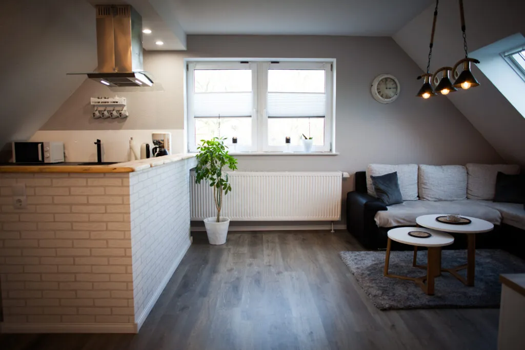 Offener Wohnbereich der Ferienwohnung Canhusen mit Schlafsofa und Smart-TV